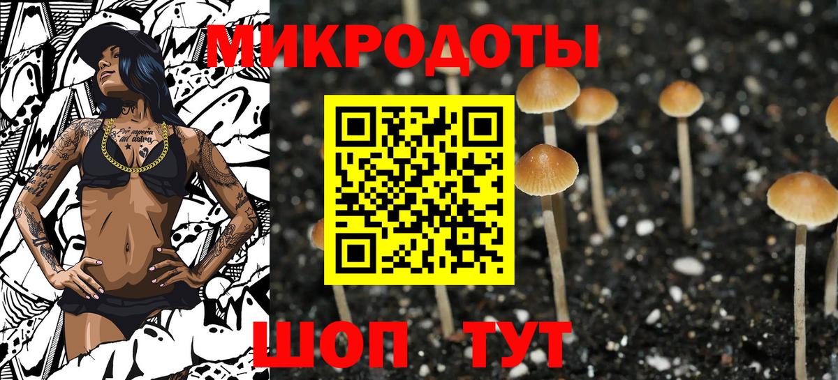 Альметьевск  Псилоцибиновые грибы мицелий  Псилоцибиновые грибы Psilocybe  Вход с VPN 